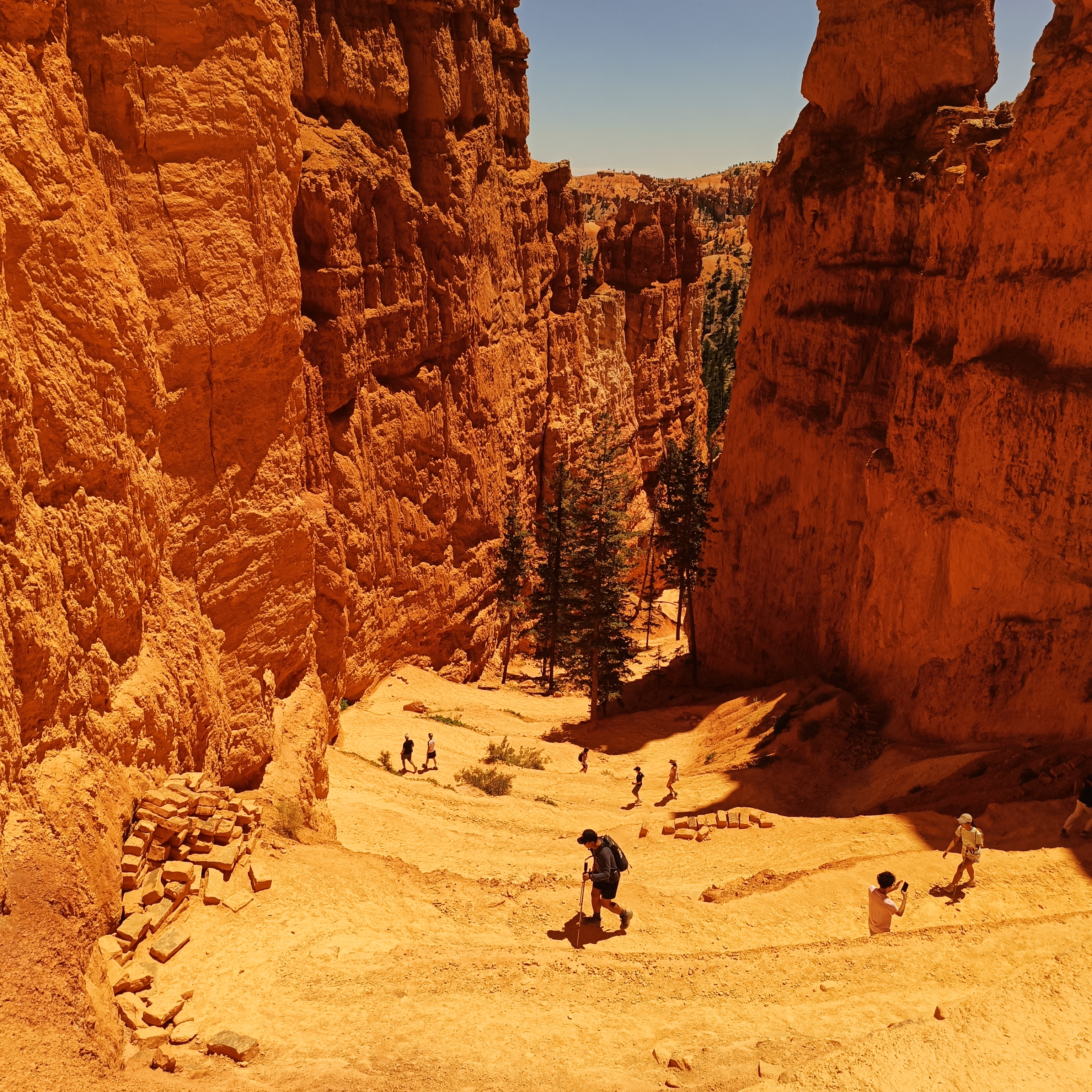 Brice Canyon